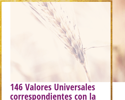 146 valores universales correspondientes con la abundancia
