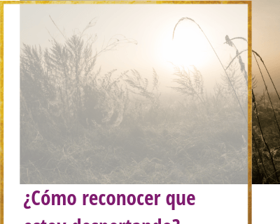 como reconocer que estoy despertando
