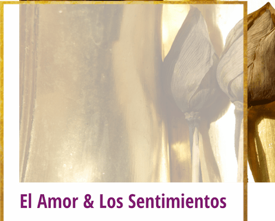 el amor y los sentimientos